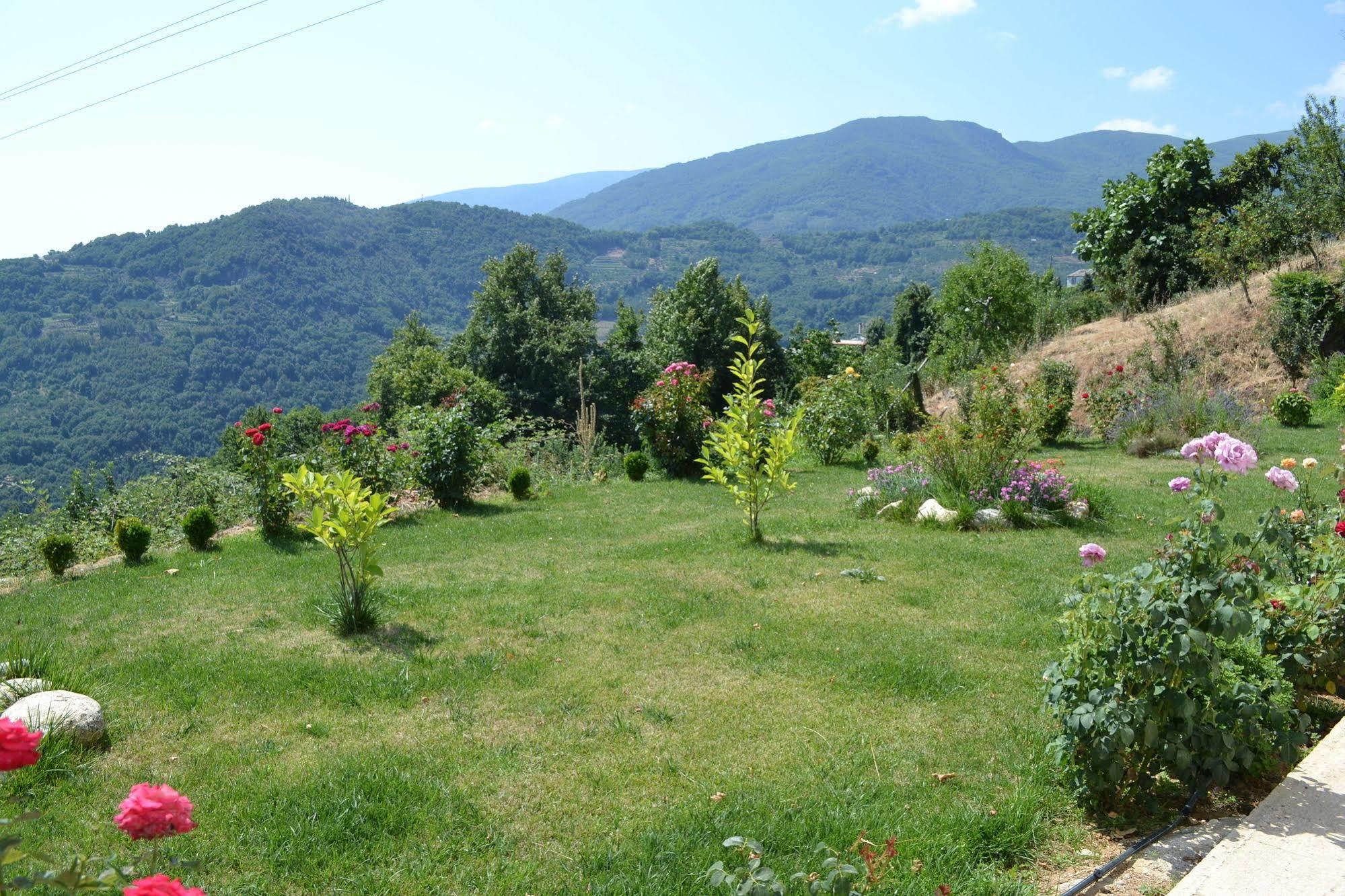 Guesthouse Kapaniaris Zagora Bagian luar foto
