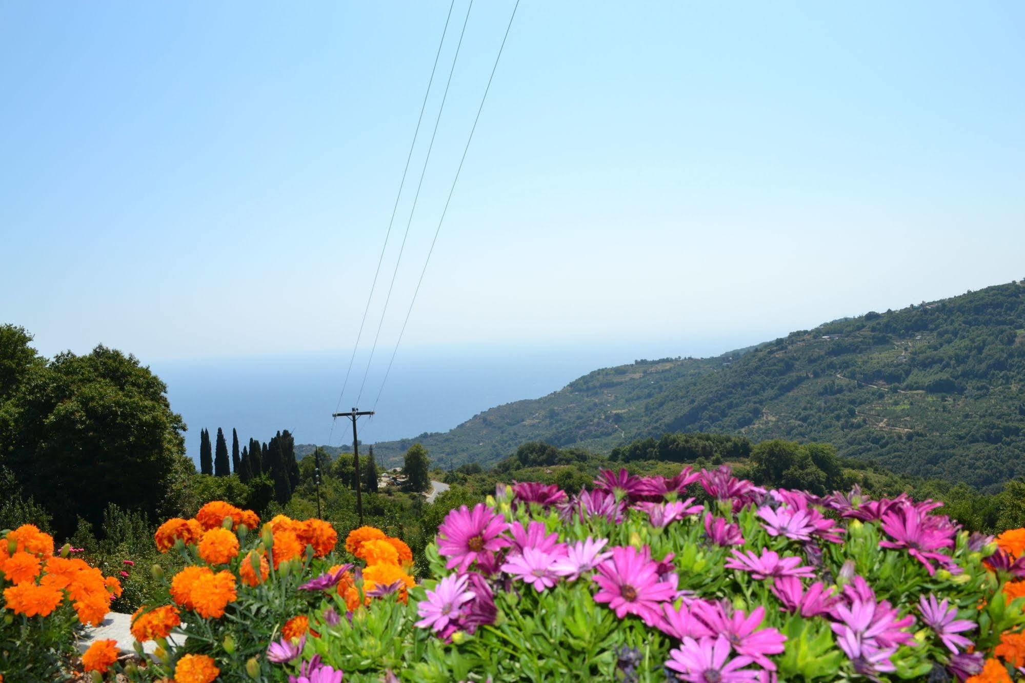 Guesthouse Kapaniaris Zagora Bagian luar foto